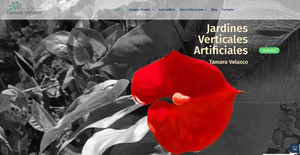Artista y Creadora de Jardines Verticales Artificiales